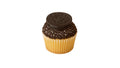A Vanilla Cupcake Topped with Cookies and Cream Frosting, Chocolate Crunch and an Oreo. 