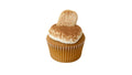 An Espresso Cupcake Topped with Tiramisu Frosting, Ladyfinger and a Dusting of Cocoa Powder.