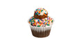 A Chocolate Cupcake Topped with Tres Leches Frosting, Rainbow Sprinkles and A Frosted Donut Hole with Rainbow Sprinkles. 